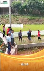 联播+｜强农报国 天地广阔