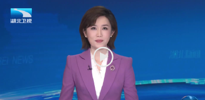 “十四五”非凡历程的实践与启示 | 荆风楚韵 气象万千