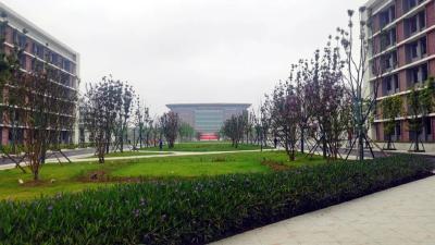 【新思想引领新征程·非凡“十四五”】我国开启深空探测新征程