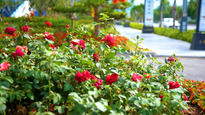 “生而不同”的起飞——揭秘花湖机场何以排名全国第四