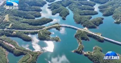 “十四五”非凡历程的实践与启示丨大江澎湃绿意浓