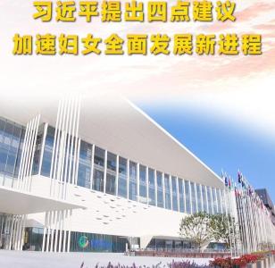 习近平主席在全球妇女峰会开幕式的主旨讲话引发中外人士热烈反响