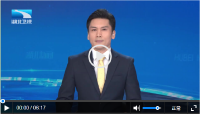 牢记嘱托 建成支点丨武汉：绘就“五个中心” 昂起“支点龙头”