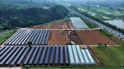 房县在“中食杯”发酵产品创新大赛中斩获4项大奖