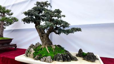 听！诗词里的家国大义