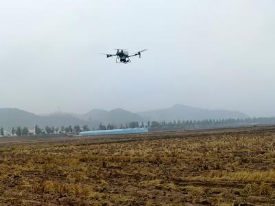 房县军店镇：冬闲田“绘”新绿 无人机“播”希望