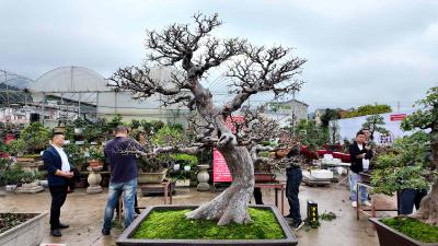 聚焦干部素质提升年丨襄阳：锻硬功 强引擎 促跃升