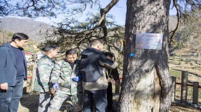 筑牢生态防线 房县持续守护县域珍稀林木资源