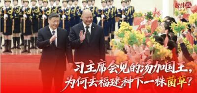 经纬线·习主席会见的汤加国王，为何去福建种下一株菌草？