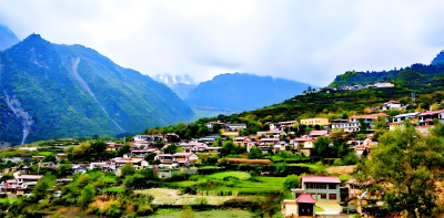 县政协赴九道乡开展第四季度巡林工作