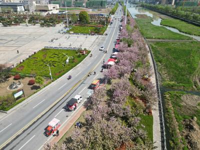 房县：引育院士（专家）团队 赋能产业高质量发展