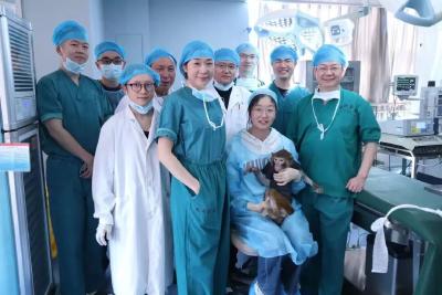 25年深耕“一朵花”！九合垸链动全国大市场