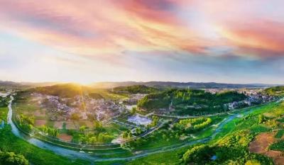 房县：精准监督让“金叶子”富农惠民