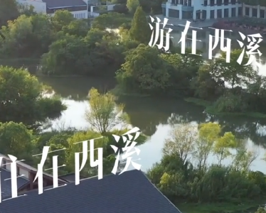 幸会中国 | 走进西溪湿地，漫步“市内桃源”，共享绿色空间