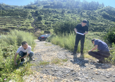 以审计之力护航茶旅融合 助推乡村特色产业高质量发展