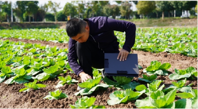 温暖的回响｜科技赋能做强蔬菜“芯片”——院士专家团队助力嘉鱼蔬菜产业高质量发展