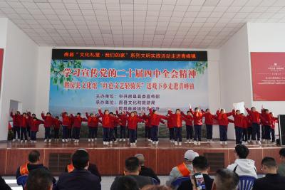 “红色文艺轻骑兵”送戏下乡走进青峰