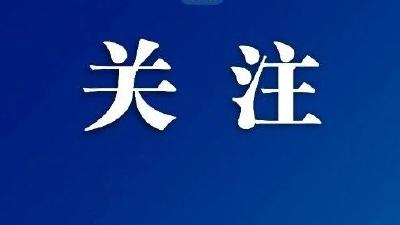 此行间·共赴深圳之约！2026年APEC东道主城市短片来了