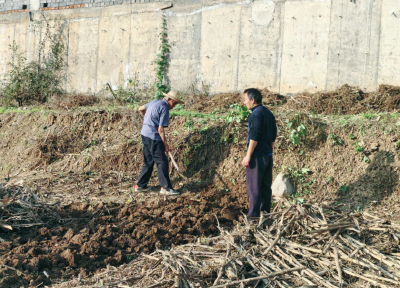 军店镇：呵护秋与蓝天  掐灭“秸前”火点