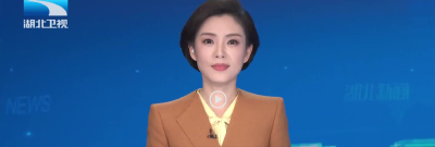 “十五五”发展看湖北 | 壮产业促创新 推动高质量发展