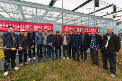 房县农业农村局：邀专家、组团队，田间地头护航樱桃冬季管理