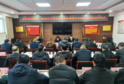 潘洪莉参加政协房县十一届五次会议联组讨论