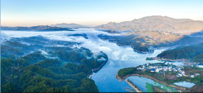 卖出山里货 招来城里客 “大别山头雁”引领产业突围