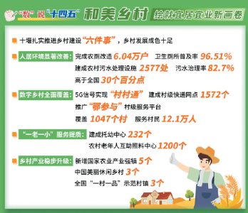 回眸“十四五”·前行中的十堰②一村蝶变 千村和美