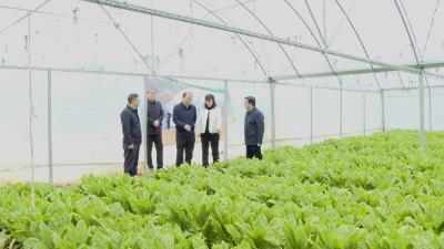 市政协主席蔡贤忠来我县宣讲党的二十届四中全会精神并调研乡村振兴工作