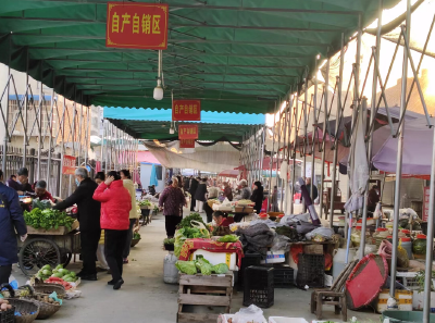 县城管执法局：公正执法护民生 服务周到保井然