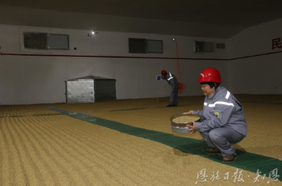 咬一粒稻谷，守一仓安宁——解码新时代的粮仓守护“密码”