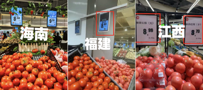 学习卡丨2025，聚焦科技创新，总书记这样部署！