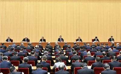 习近平：“因地制宜，本质是实事求是”