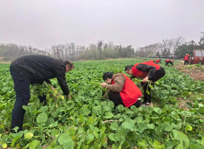 赤壁市新店镇推动年轻干部在一线成长成才纪实