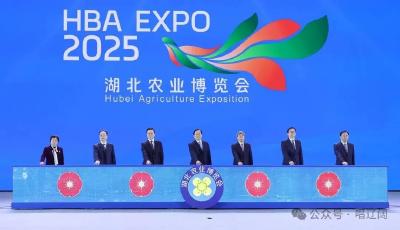 “大不了回乡种田”？这事儿可不简单！