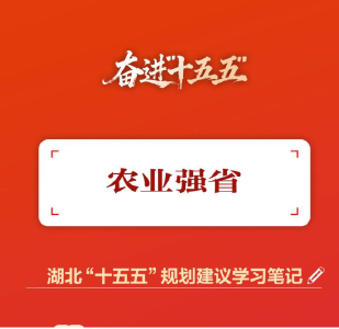 划重点丨奋进支点，湖北加快建设“13个强省”
