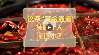 改革者 正青春｜这条“黄金通道”凭啥让人流口水？