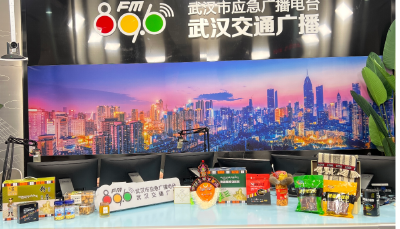 十四五收官谱新篇 云端援藏点燃雪域新引擎