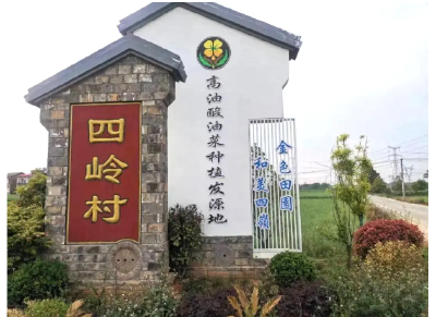 学习贯彻党的二十届四中全会精神·一线见闻丨掇刀区人武部、掇刀区农业农村局乡村振兴驻村工作队帮扶四岭村侧记