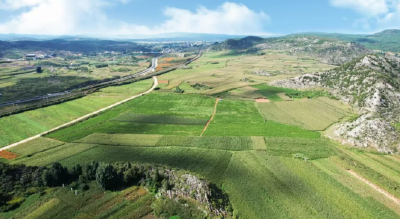 这些宜昌“土特产”，凭啥值千亿？