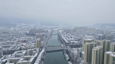 莴笋喜丰收 田间采收忙