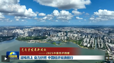 高质量发展新成效丨迎难而上 奋力拼搏 中国经济破浪前行