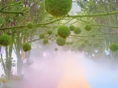 中国经济坚实底色从未改变