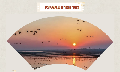 一枚沙湖咸蛋的“进阶”自白！