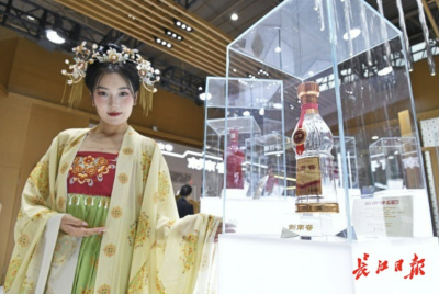 武汉一天有三场，今年逛展成日常