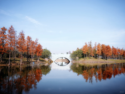 县民政局：“四让”抓实民政安全生产工作