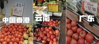 时政微周刊丨总书记的一周（12月22日—12月28日）