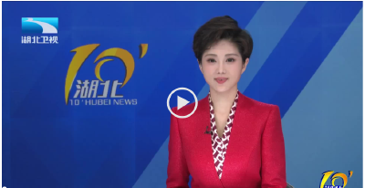 两会同期声｜聚创新之力 加快构建体现湖北优势的现代化产业体系