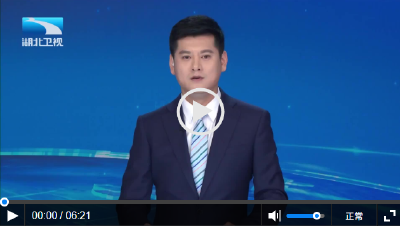 走一线 看支点 | 策源 应用 融合：湖北科技创新向高而攀