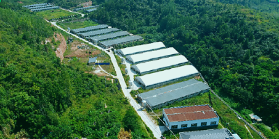 房县新增一家省级乡村振兴科技创新示范基地 总数已达四家